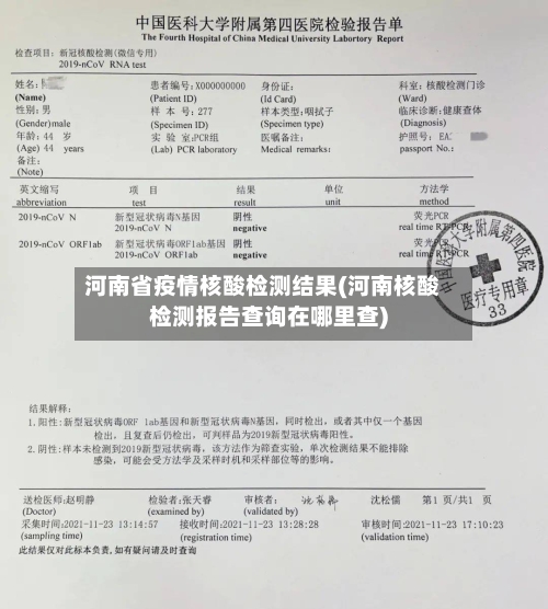 河南省疫情核酸检测结果(河南核酸检测报告查询在哪里查)-第1张图片