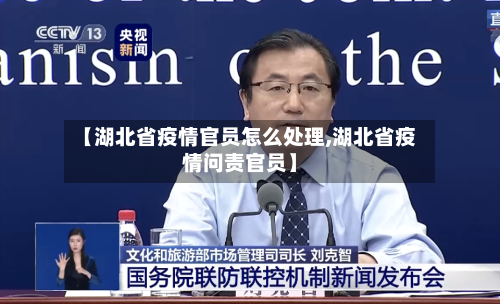 【湖北省疫情官员怎么处理,湖北省疫情问责官员】-第1张图片