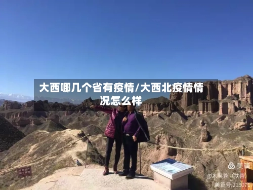 大西哪几个省有疫情/大西北疫情情况怎么样-第2张图片
