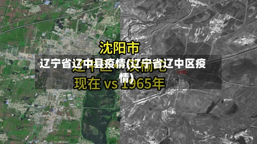 辽宁省辽中县疫情(辽宁省辽中区疫情)-第1张图片