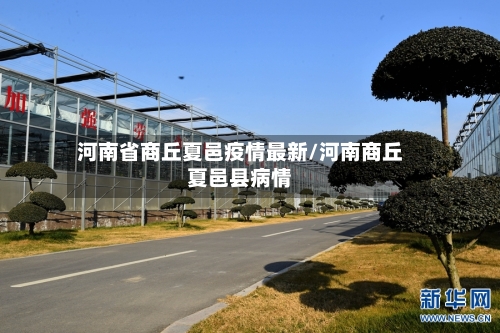 河南省商丘夏邑疫情最新/河南商丘夏邑县病情-第1张图片