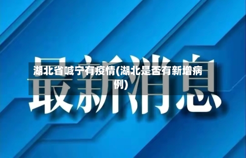 湖北省喊宁有疫情(湖北是否有新增病例)-第2张图片