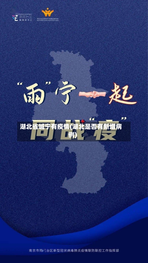 湖北省喊宁有疫情(湖北是否有新增病例)-第1张图片
