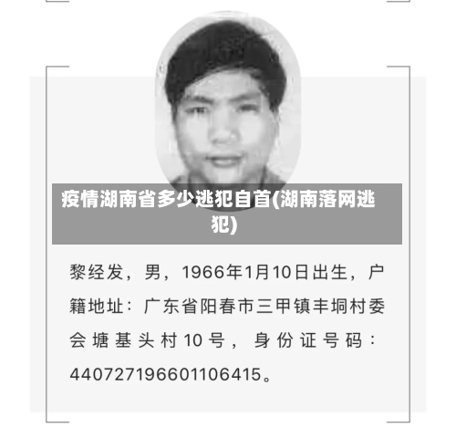 疫情湖南省多少逃犯自首(湖南落网逃犯)-第3张图片