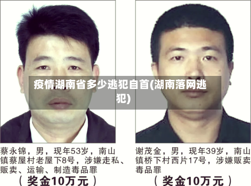 疫情湖南省多少逃犯自首(湖南落网逃犯)-第1张图片