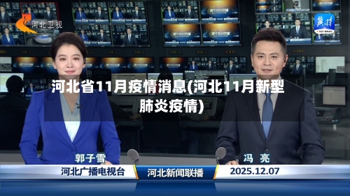 河北省11月疫情消息(河北11月新型肺炎疫情)-第2张图片