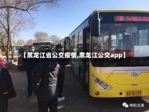 【黑龙江省公交疫情,黑龙江公交app】-第1张图片