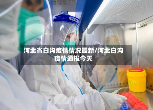 河北省白沟疫情情况最新/河北白沟疫情通报今天-第2张图片