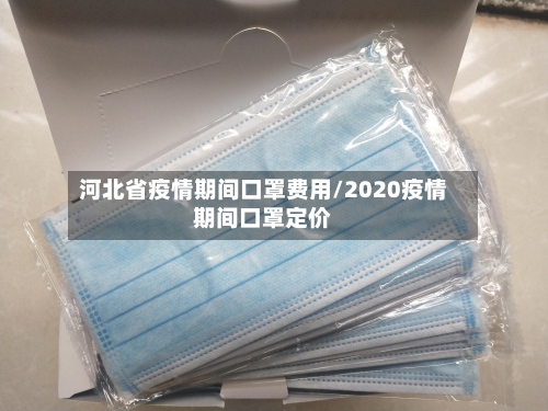河北省疫情期间口罩费用/2020疫情期间口罩定价-第2张图片