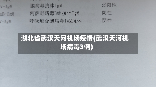 湖北省武汉天河机场疫情(武汉天河机场病毒3例)-第1张图片