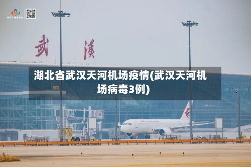 湖北省武汉天河机场疫情(武汉天河机场病毒3例)-第2张图片
