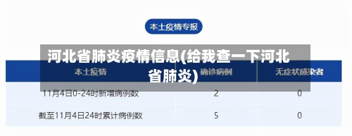 河北省肺炎疫情信息(给我查一下河北省肺炎)-第3张图片