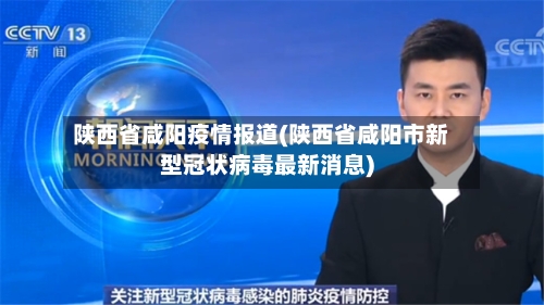 陕西省咸阳疫情报道(陕西省咸阳市新型冠状病毒最新消息)-第2张图片
