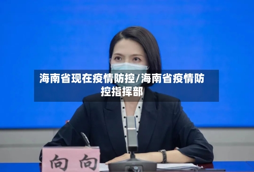 海南省现在疫情防控/海南省疫情防控指挥部-第2张图片