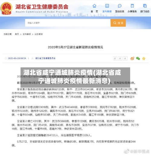 湖北省咸宁通城肺炎疫情(湖北省咸宁通城肺炎疫情最新消息)-第2张图片