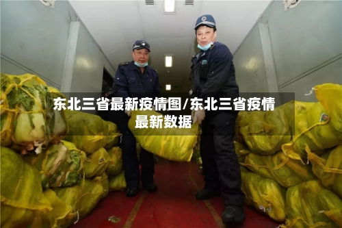 东北三省最新疫情图/东北三省疫情最新数据-第2张图片