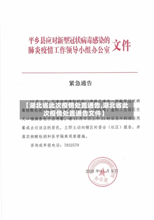 【湖北省此次疫情处置通告,湖北省此次疫情处置通告文件】-第2张图片