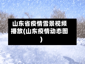 山东省疫情雪景视频播放(山东疫情动态图)-第3张图片