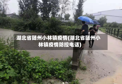 湖北省随州小林镇疫情(湖北省随州小林镇疫情防控电话)-第1张图片