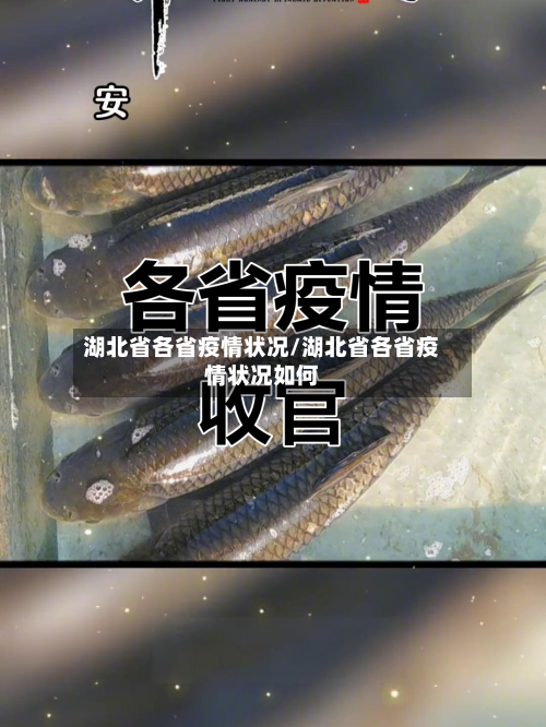 湖北省各省疫情状况/湖北省各省疫情状况如何-第1张图片