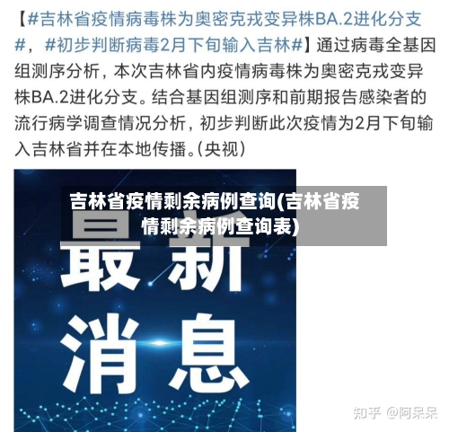 吉林省疫情剩余病例查询(吉林省疫情剩余病例查询表)-第1张图片