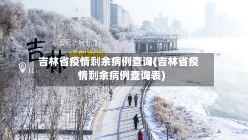 吉林省疫情剩余病例查询(吉林省疫情剩余病例查询表)-第2张图片