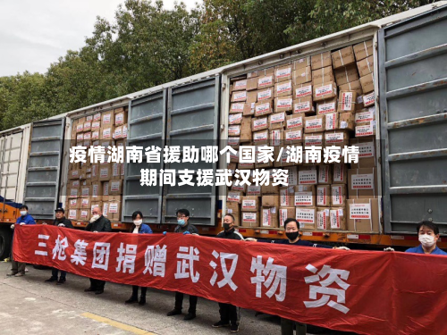 疫情湖南省援助哪个国家/湖南疫情期间支援武汉物资-第1张图片