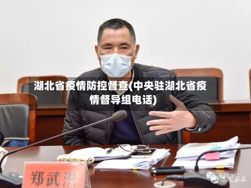 湖北省疫情防控督查(中央驻湖北省疫情督导组电话)-第2张图片