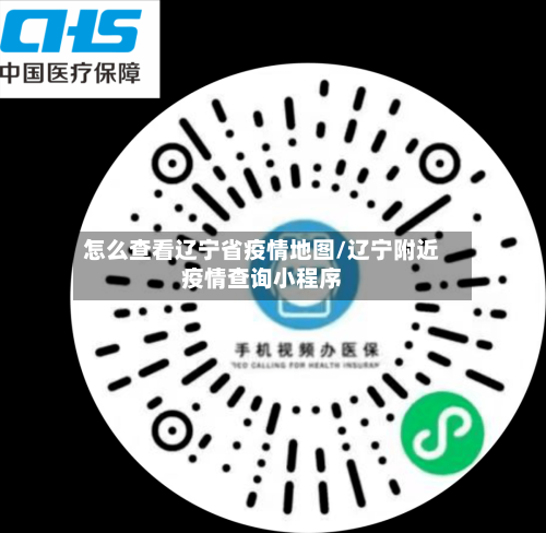 怎么查看辽宁省疫情地图/辽宁附近疫情查询小程序-第1张图片