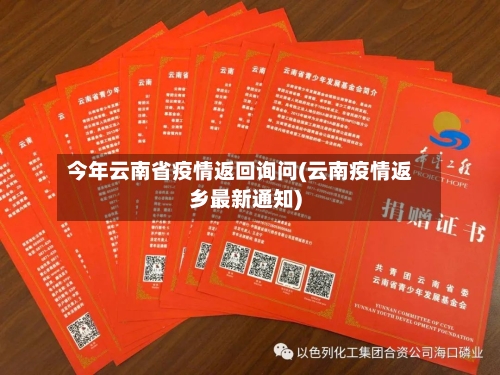 今年云南省疫情返回询问(云南疫情返乡最新通知)-第2张图片