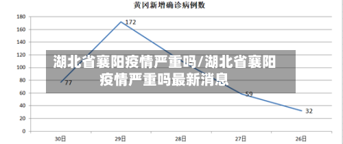 湖北省襄阳疫情严重吗/湖北省襄阳疫情严重吗最新消息-第3张图片