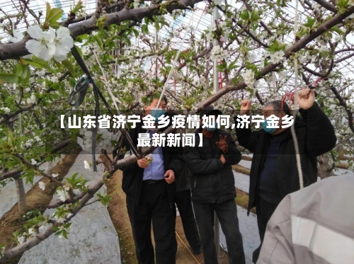 【山东省济宁金乡疫情如何,济宁金乡最新新闻】-第1张图片