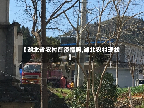 【湖北省农村有疫情吗,湖北农村现状】-第2张图片