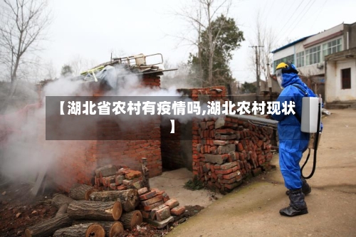 【湖北省农村有疫情吗,湖北农村现状】-第1张图片