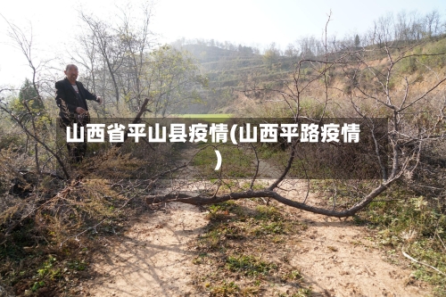 山西省平山县疫情(山西平路疫情)-第1张图片