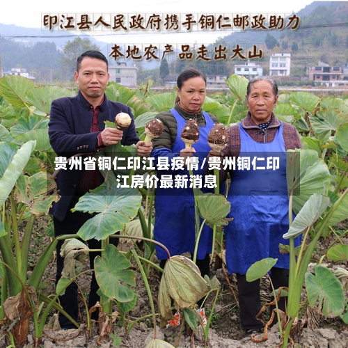 贵州省铜仁印江县疫情/贵州铜仁印江房价最新消息-第2张图片