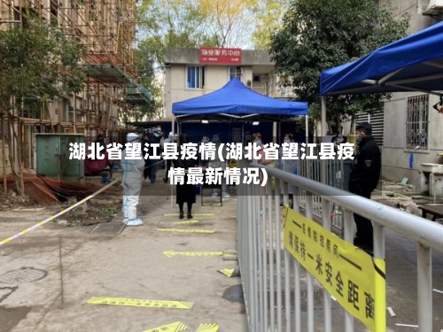 湖北省望江县疫情(湖北省望江县疫情最新情况)-第3张图片