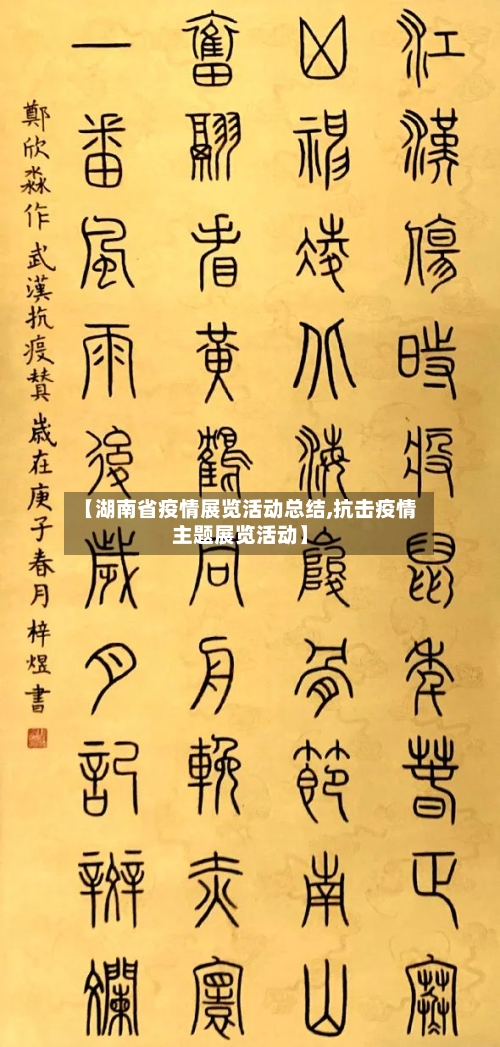 【湖南省疫情展览活动总结,抗击疫情主题展览活动】-第1张图片
