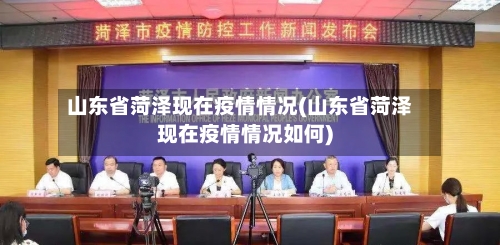 山东省菏泽现在疫情情况(山东省菏泽现在疫情情况如何)-第1张图片