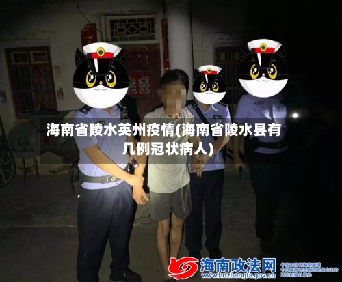 海南省陵水英州疫情(海南省陵水县有几例冠状病人)-第1张图片