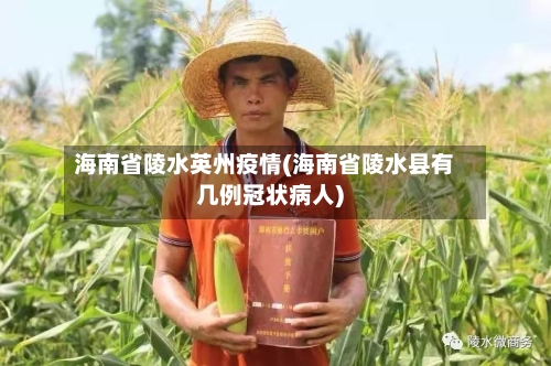 海南省陵水英州疫情(海南省陵水县有几例冠状病人)-第2张图片