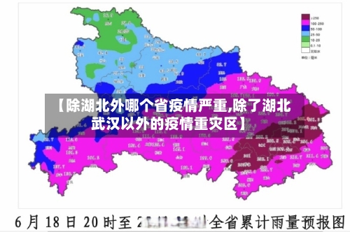 【除湖北外哪个省疫情严重,除了湖北武汉以外的疫情重灾区】-第2张图片