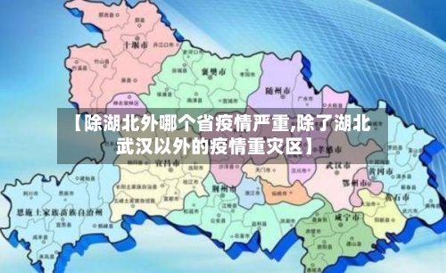 【除湖北外哪个省疫情严重,除了湖北武汉以外的疫情重灾区】-第1张图片