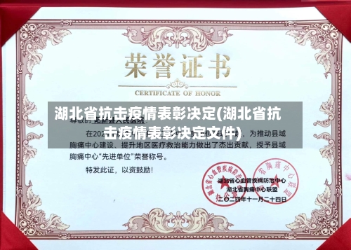 湖北省抗击疫情表彰决定(湖北省抗击疫情表彰决定文件)-第2张图片