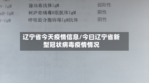 辽宁省今天疫情信息/今曰辽宁省新型冠状病毒疫情情况-第1张图片