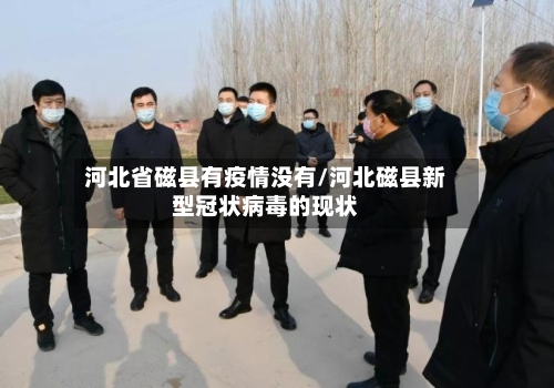 河北省磁县有疫情没有/河北磁县新型冠状病毒的现状-第2张图片