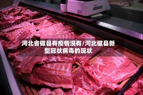 河北省磁县有疫情没有/河北磁县新型冠状病毒的现状-第1张图片
