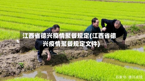 江西省德兴疫情聚餐规定(江西省德兴疫情聚餐规定文件)-第2张图片
