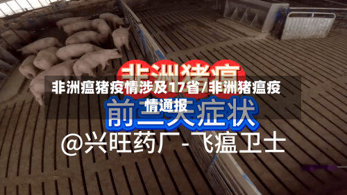 非洲瘟猪疫情涉及17省/非洲猪瘟疫情通报-第3张图片