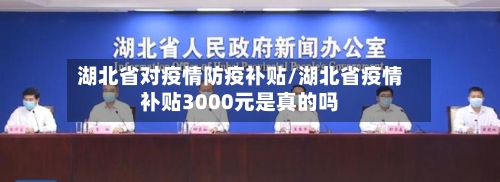 湖北省对疫情防疫补贴/湖北省疫情补贴3000元是真的吗-第3张图片